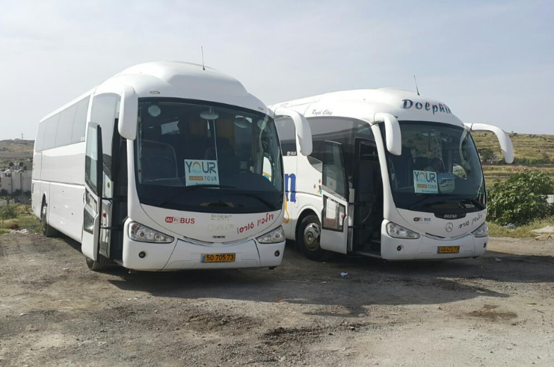 Your Tour buses in arrival