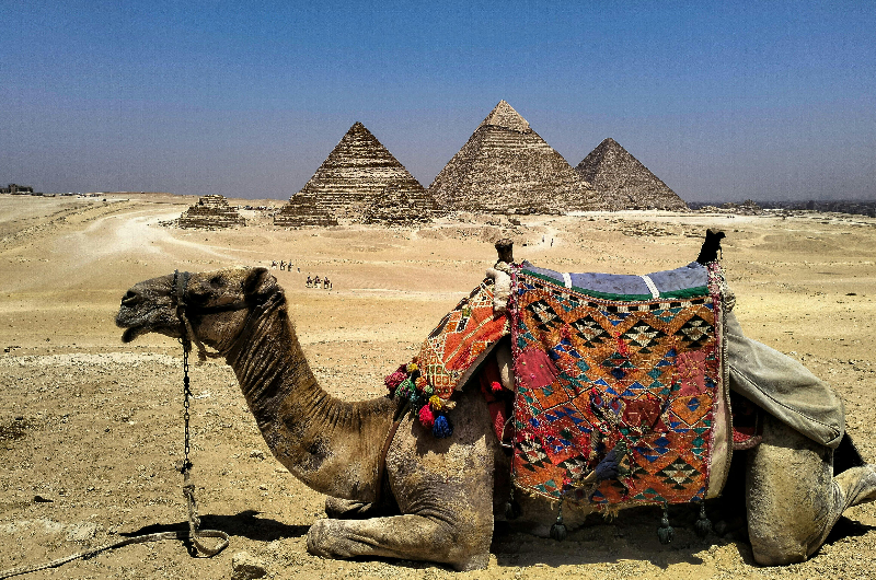 The Great Pyramids - Cairo
